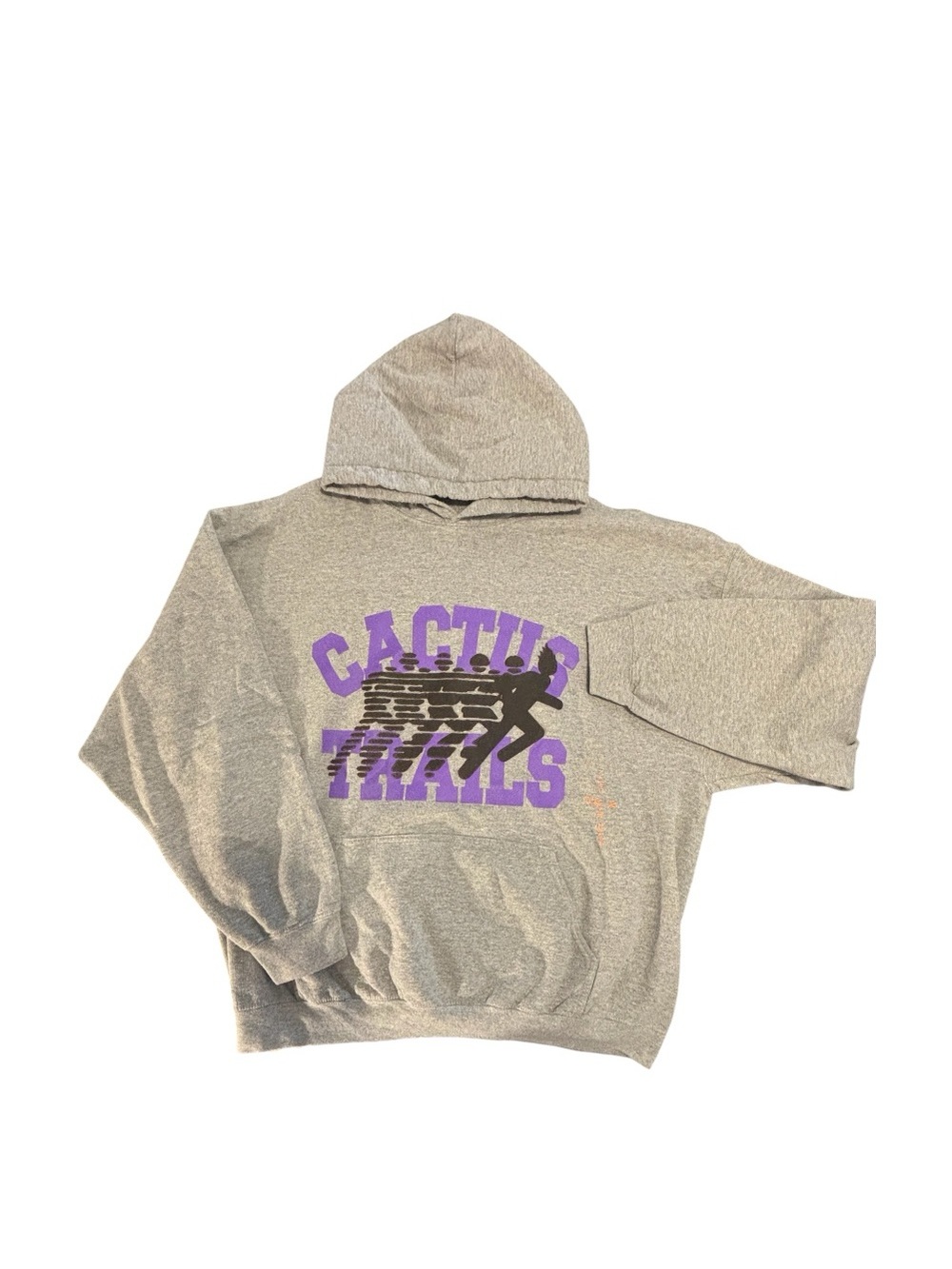 Cactus Trails Gray Graphic Hoodie